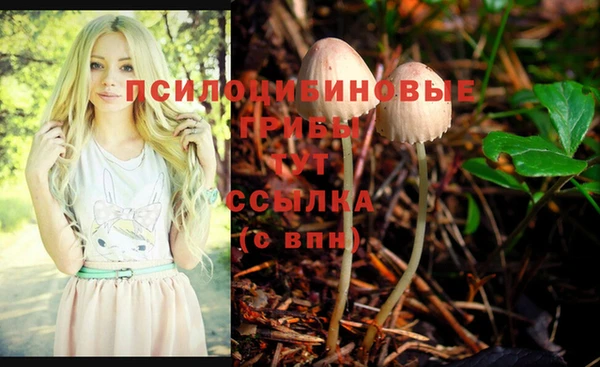 прущий лед Протвино