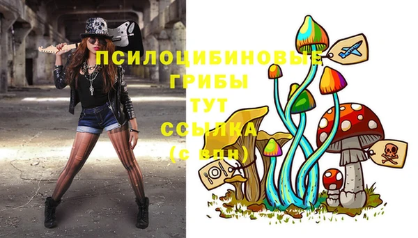 прущий лед Протвино