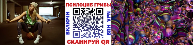 наркошоп  Армянск  Псилоцибиновые грибы мицелий 